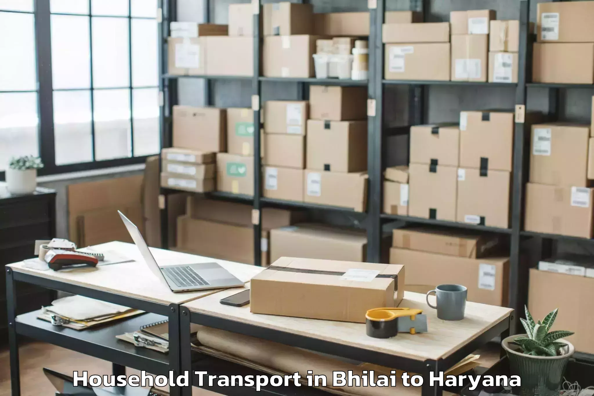 Hassle-Free Bhilai to Kalka Household Transport